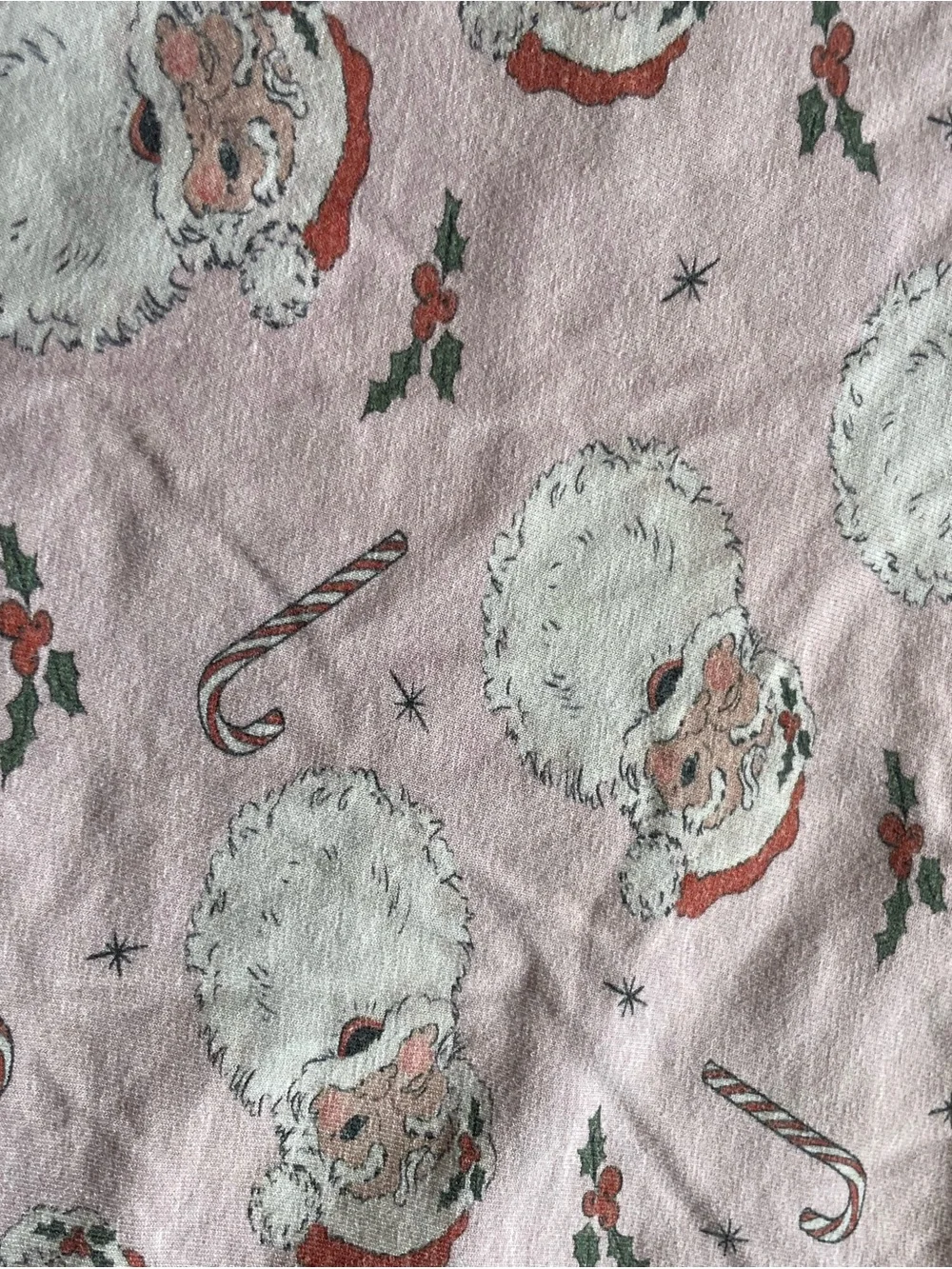 Cecil & Lou Pink Santa Print Pajama Set